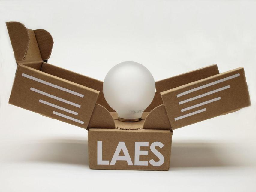 Коробка для лампочки LAES