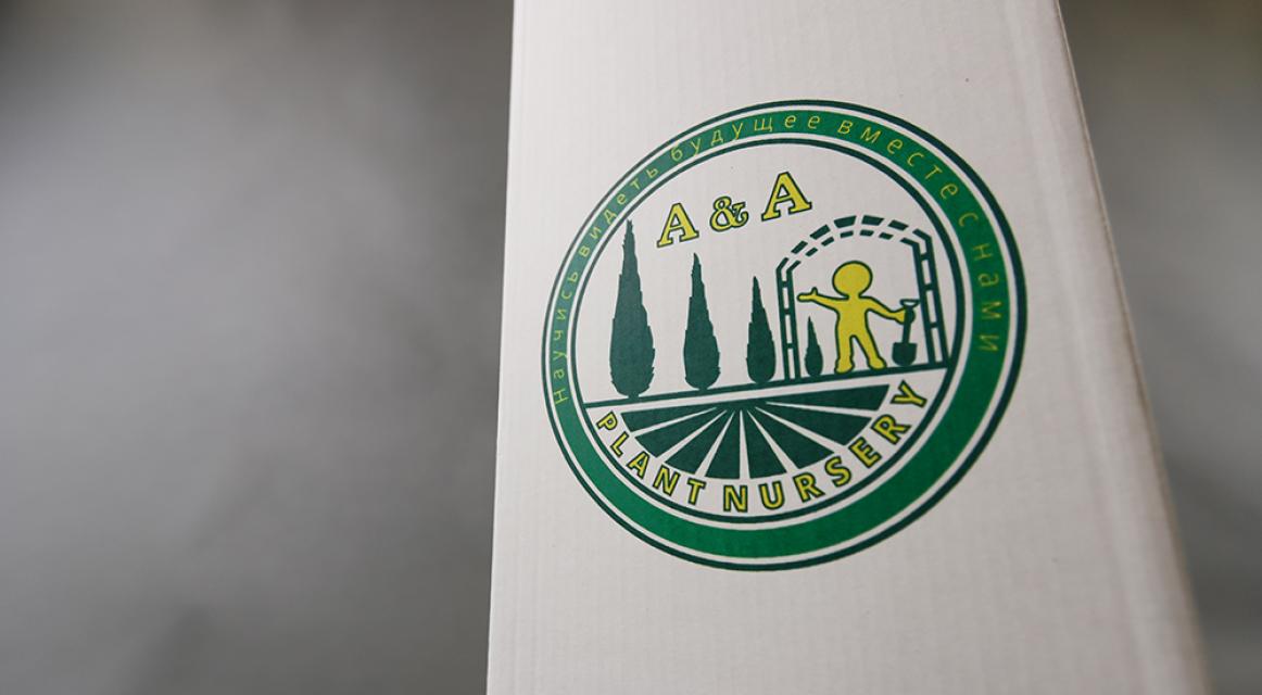 Цветная печать