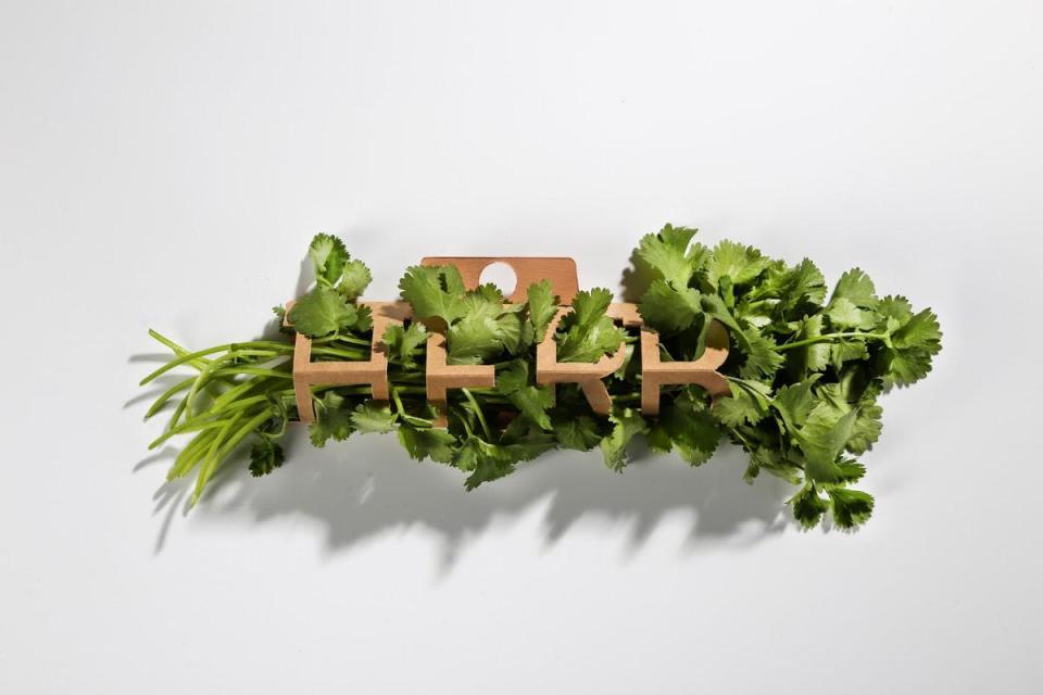 Комплект упаковки для зелени и приправ HERB