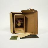 Подарочная упаковка для растений Tila Airplant